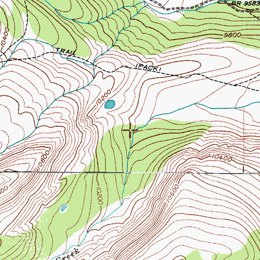 Topographic Map of Coney Creek Trail, CO
