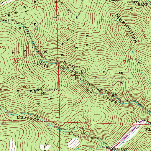 Topographic Map of Silver Horn Mine, CO