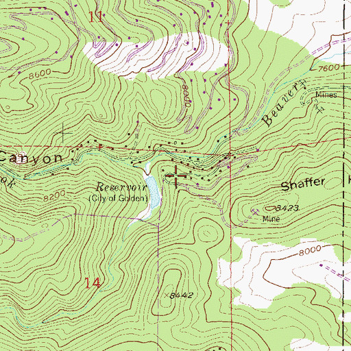 Topographic Map of Beaver Brook Mica Lode, CO