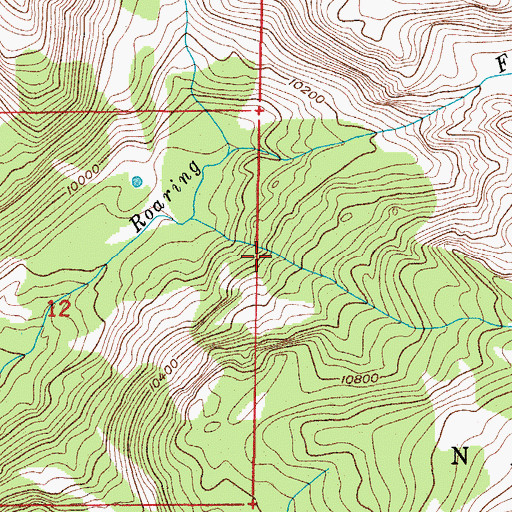 Topographic Map of Roaring Fork Trail, CO