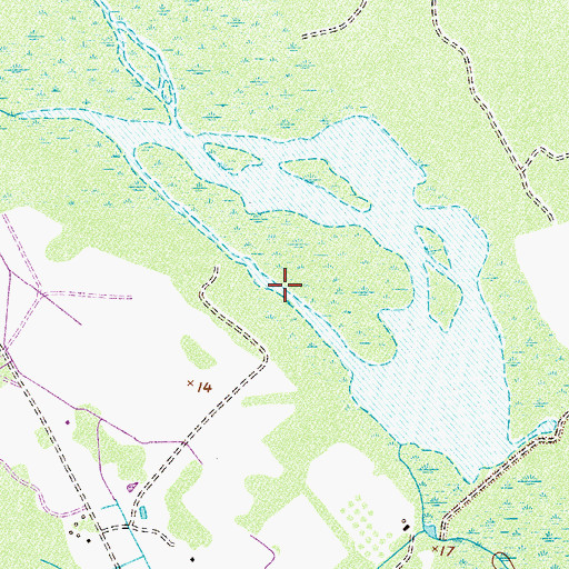 Topographic Map of Little Ogeechee Pond, GA