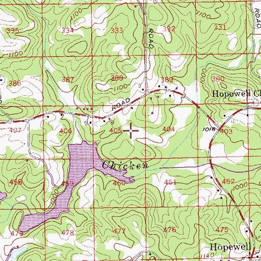 Topographic Map of Birmingham Road Estates, GA