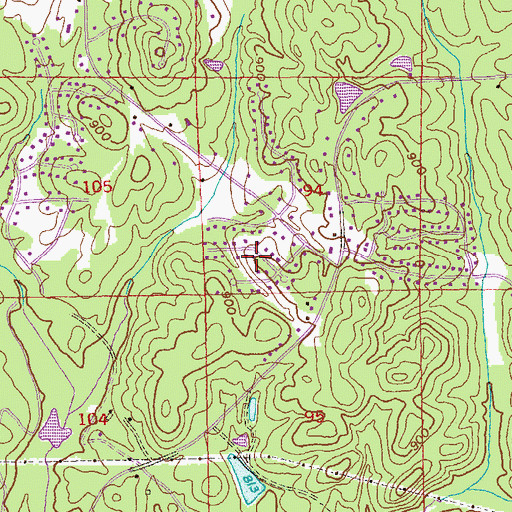 Topographic Map of Enon Forest, GA