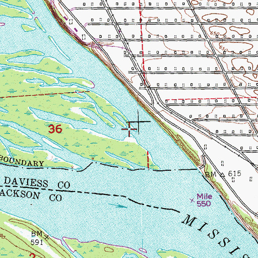 Topographic Map of Island Number 254, IL