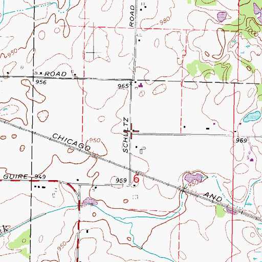 Topographic Map of Newman School (historical), IL