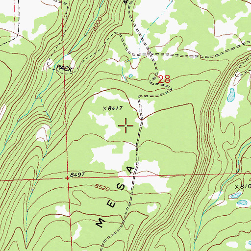 Topographic Map of Monitor Mesa Trail, CO
