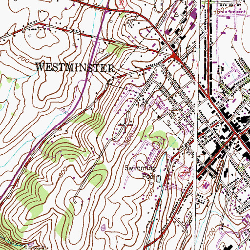 Topographic Map of Michaels Ridge, MD