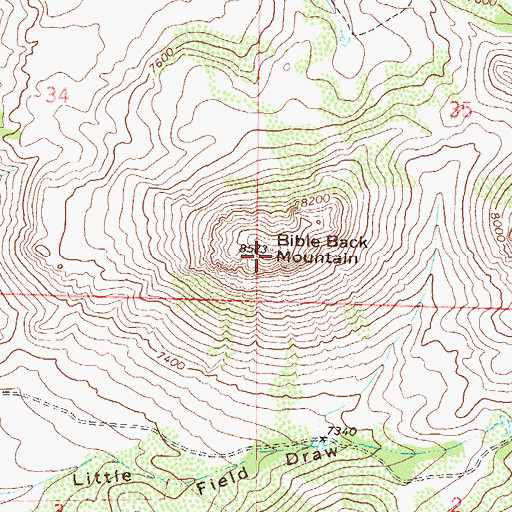 Topographic Map of Bible Back Mountain, CO