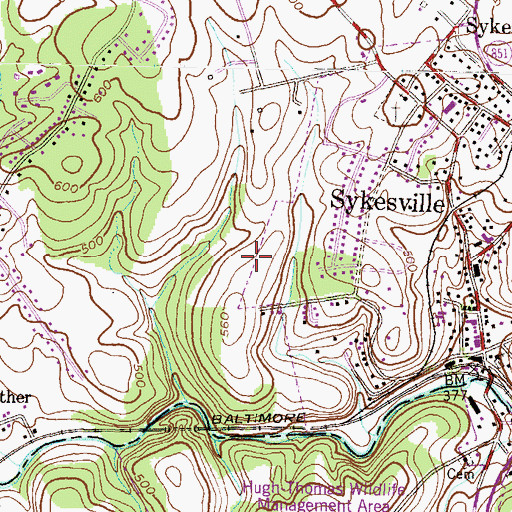 Topographic Map of Lexington Run, MD