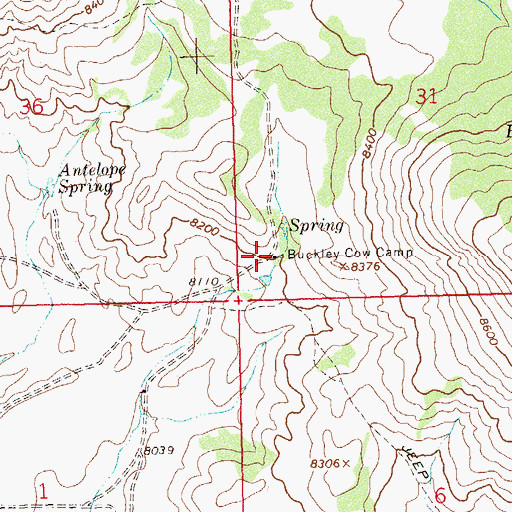 Topographic Map of Buckley Cow Camp, CO