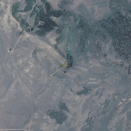 Aerial/Satellite Image of Buckley Cow Camp, CO