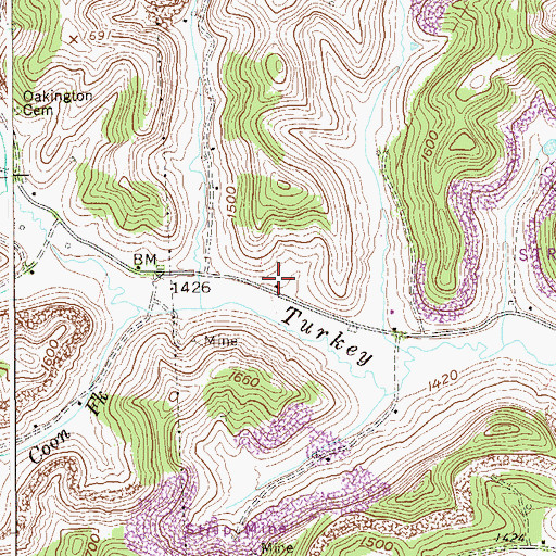 Topographic Map of Turkey Run School (historical), WV