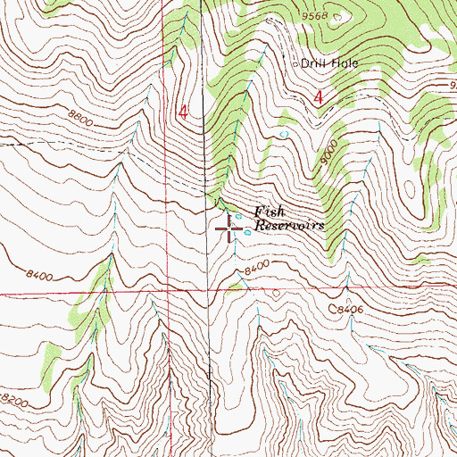 Topographic Map of Fish Reservoirs, CO