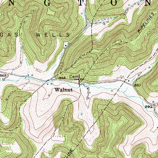 Topographic Map of Walnut Methodist Church, WV