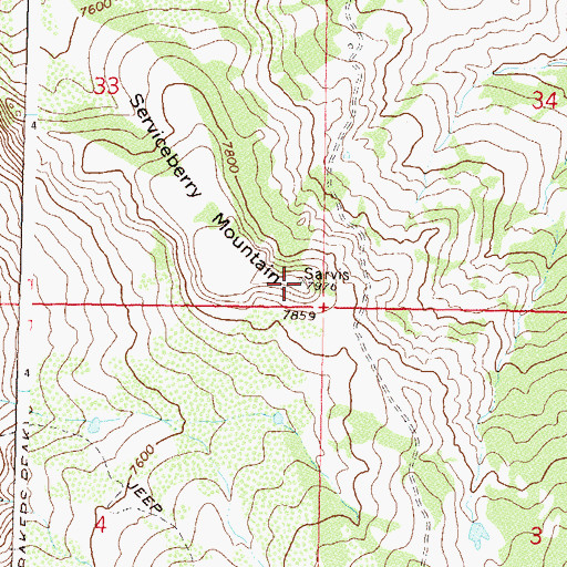 Topographic Map of Serviceberry Mountain, CO