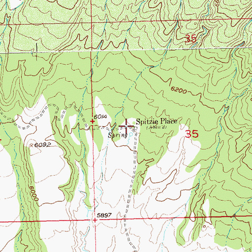 Topographic Map of Spitzie Place, CO