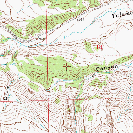 Topographic Map of Harry Holy Bottom, CO