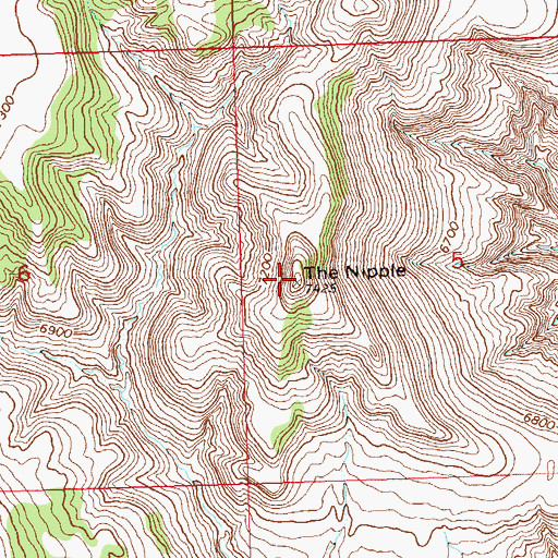 Topographic Map of The Nipple, CO
