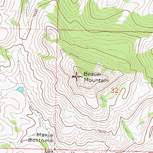 Topographic Map of Beaver Mountain, CO