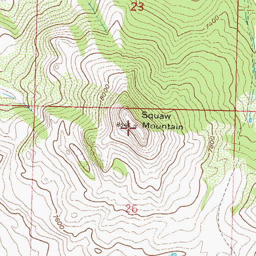 Topographic Map of Squaw Mountain, CO