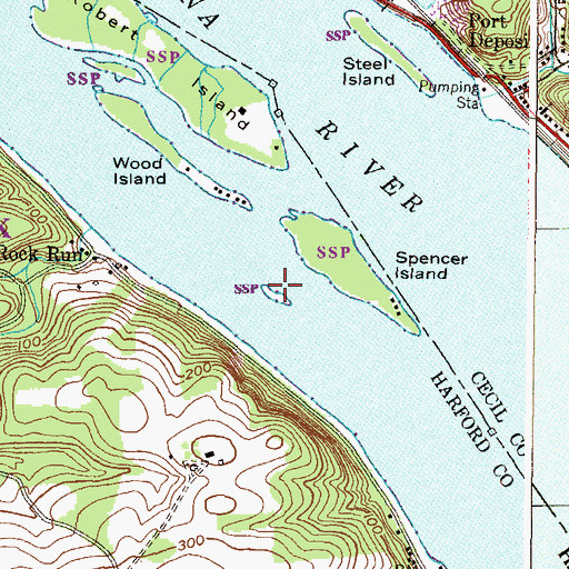 Topographic Map of Snake Island, MD