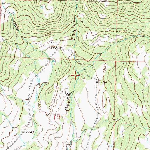 Topographic Map of Taylor Creek, CO