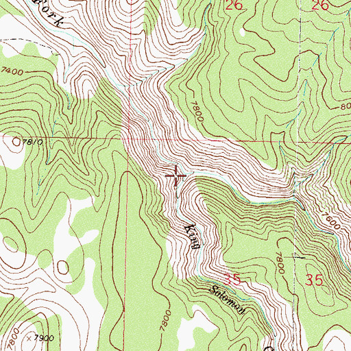 Topographic Map of King Solomon Creek, CO