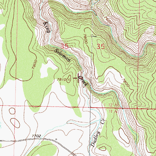 Topographic Map of Dudley Creek, CO