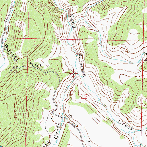Topographic Map of Box Creek, CO