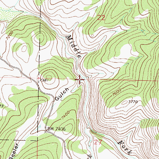 Topographic Map of Beeler Gulch, CO