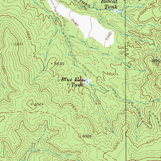 Topographic Map of Blue Fox Tank, AZ