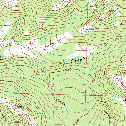 Topographic Map of Burton Creek, CO