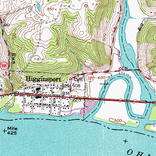 Topographic Map of Higginsport Cemetery, OH