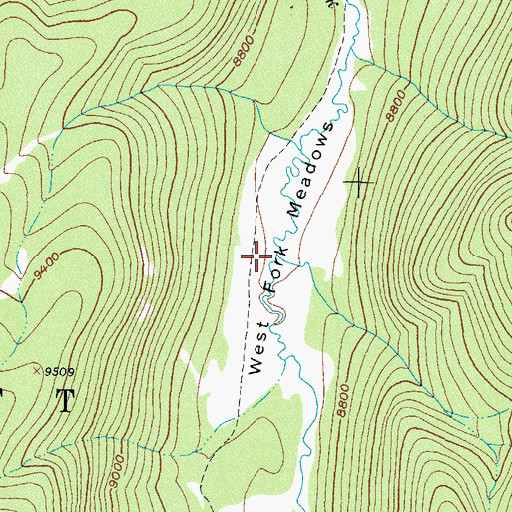 Topographic Map of West Fork Meadows, CO