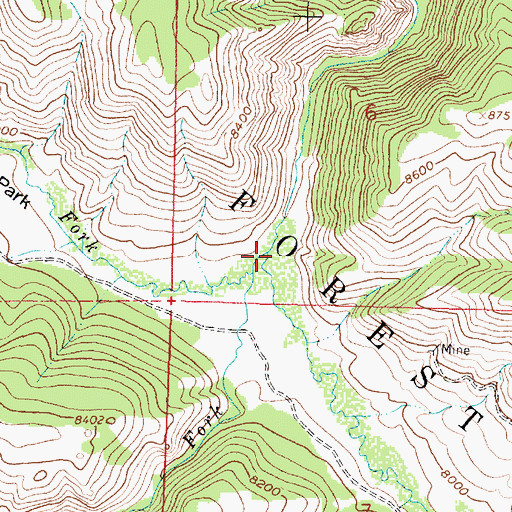 Topographic Map of South Fork Big Creek, WY