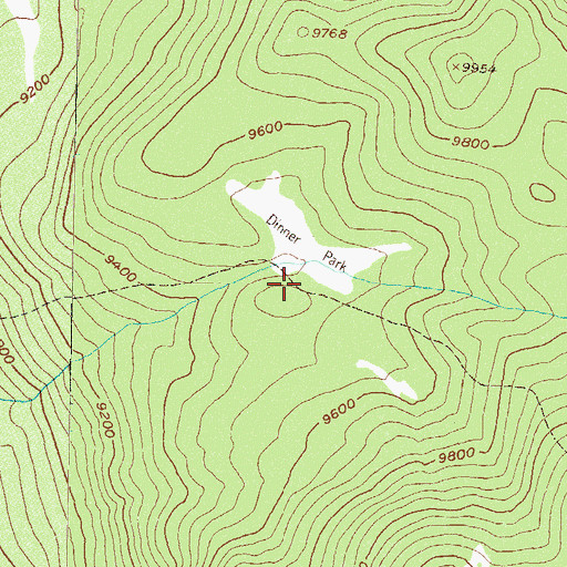 Topographic Map of Dinner Park, CO