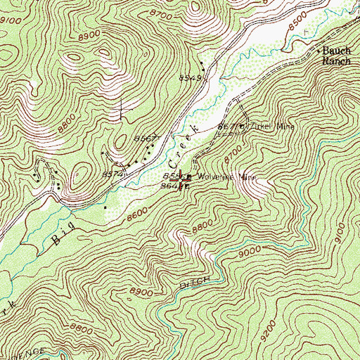 Topographic Map of Wolverine Mine, CO