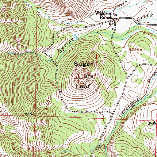 Topographic Map of Sugar Loaf, CO