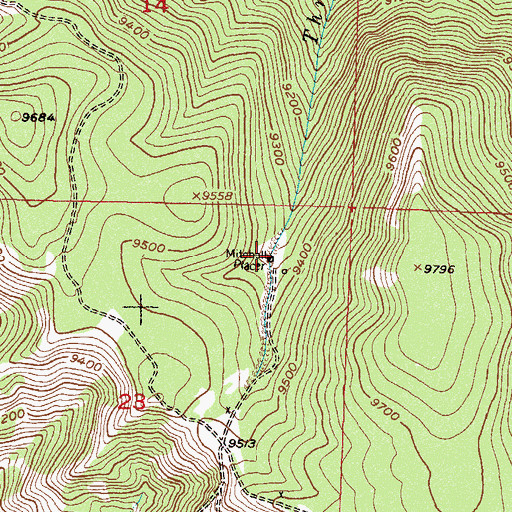 Topographic Map of Mitchell Placer, CO