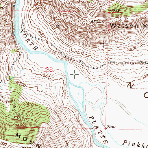 Topographic Map of Pinkham Creek, CO