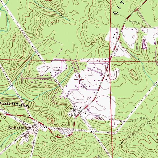Topographic Map of Pineland Park, AL