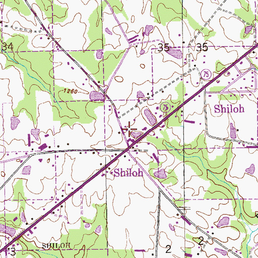 Topographic Map of Shiloh School (historical), AL
