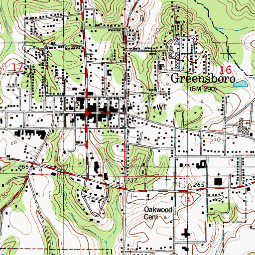 Topographic Map of Camelia Court, AL