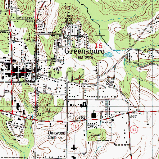 Topographic Map of Japonica Path, AL