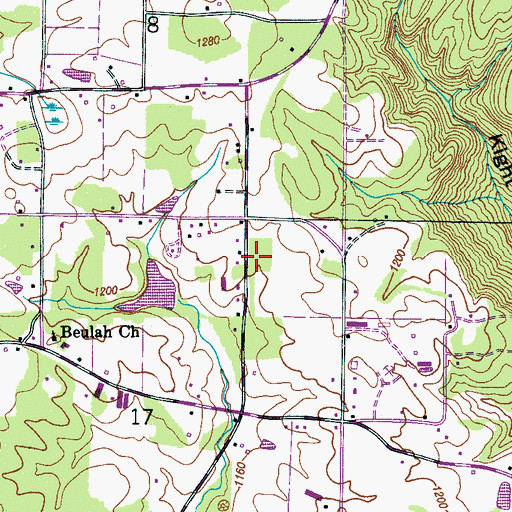 Topographic Map of Pine Grove Church (historical), AL