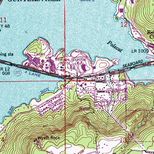 Topographic Map of Wyeth City, AL