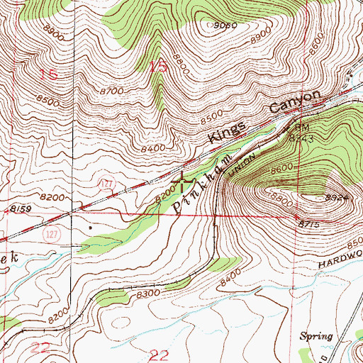 Topographic Map of Kings Canyon, CO