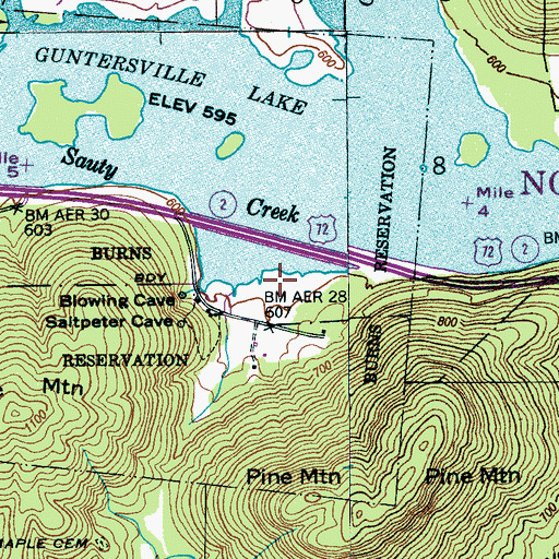 Topographic Map of Saltpeter Cove, AL