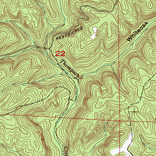 Topographic Map of White Oak Branch, AL