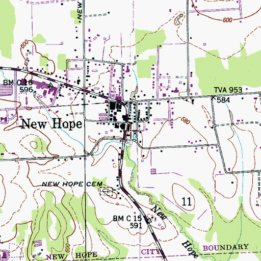 Topographic Map of New Hope Spring, AL
